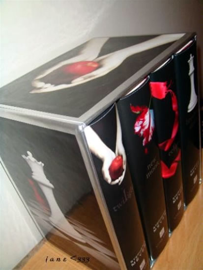 Twilight saga Twilight saga