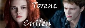 Povídky od TorencCullen