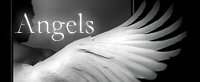 Angels - 8. Kapitola