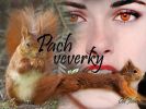 Pach veverky - 8. kapitola - Alicina volba