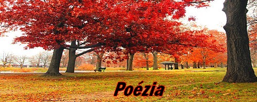 poézia