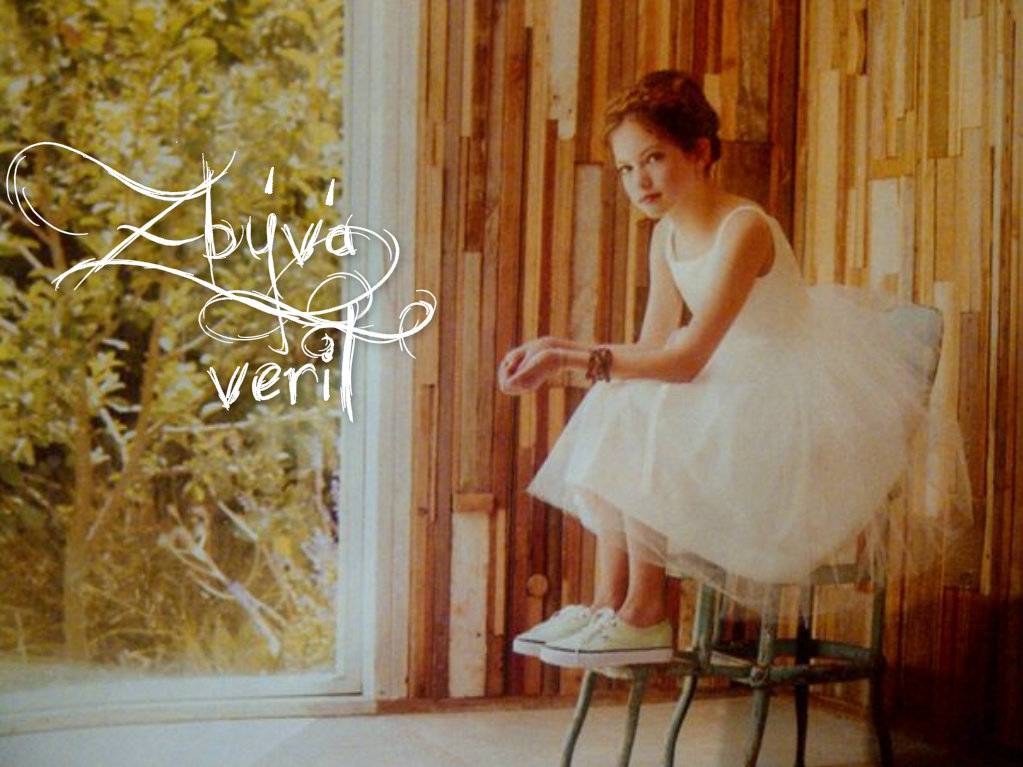 Zbývá věřit - shrnutí