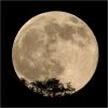 Rising moon - 4. kapitola