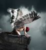 Angels - SongFic