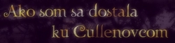 Ako som sa dostala ku Cullenovcom - 1. Príchod k novej rodine - Fiasko