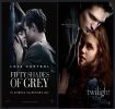 50 podobností mezi Odstíny šedi a Twilight Ságou