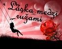 Láska medzi ružami 2. kapitola