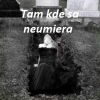 Tam, kde sa neumiera - 39. kapitola