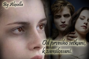 Od prvního setkání k zamilování - 5.Kapitola