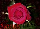 Five seconds (prolog a 1. kapitola)