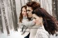 Amazing-Manip-Bella-Edward-and-Renesmee-twilight-series-18651908-506-337.jpg