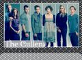 cullens15415