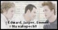 Emmet, Jasper, Edward = Na nákupech!