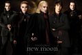 new_moon___the_volturi_ii_by_filmfa.jpg