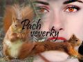 Pach veverky - 3. kapitola - Lov
