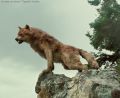 Osamělý vlkodlak